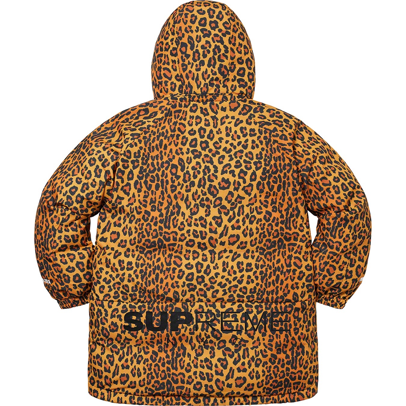 GORE-TEX 700-Fill Down Parka view 10